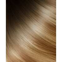 Read Halo Couture Reviews